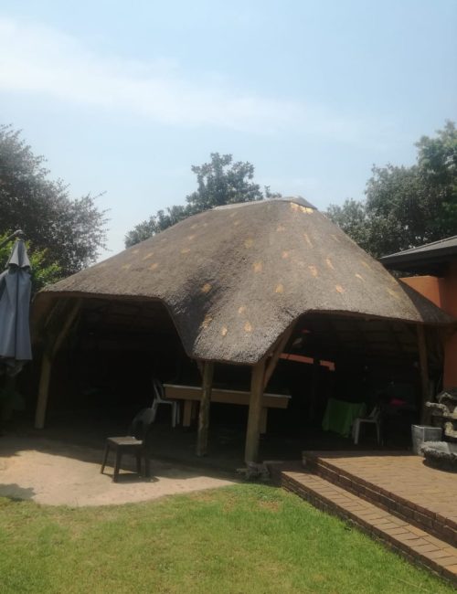 WhatsApp Image 2022-07-31 at 5.41.58 AM