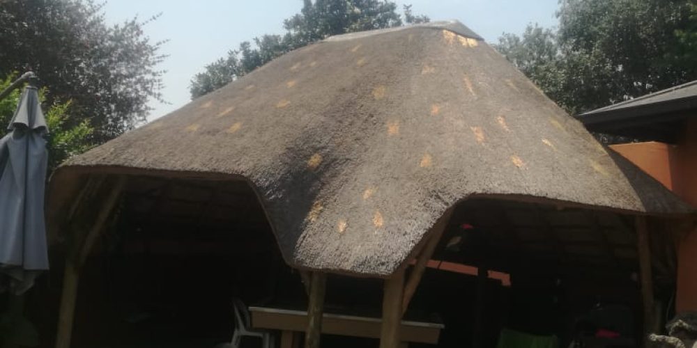 WhatsApp Image 2022-07-31 at 5.41.58 AM