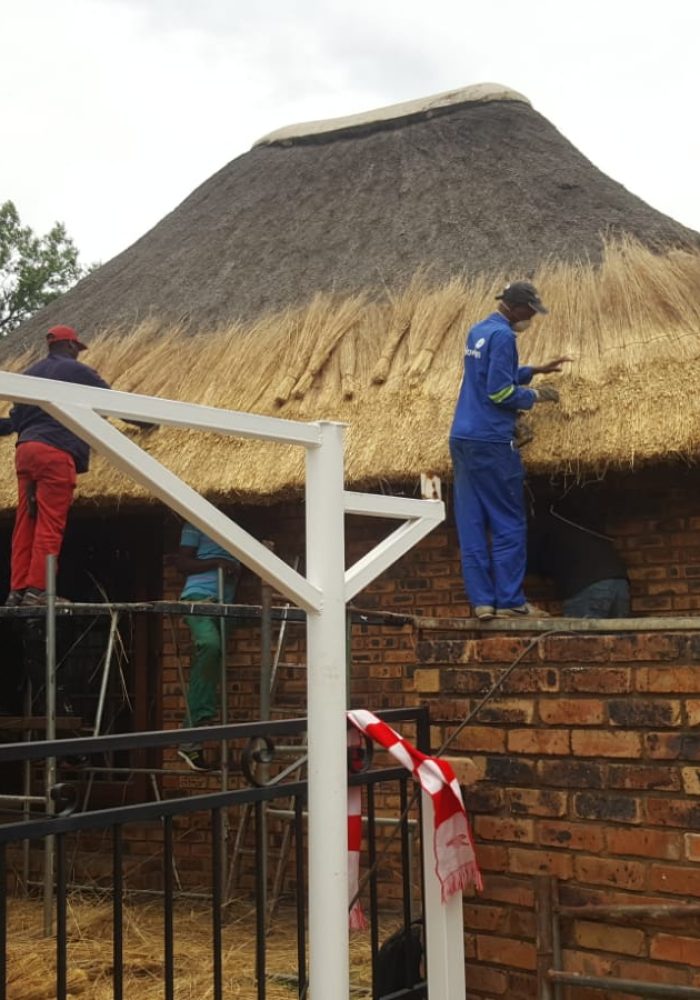 WhatsApp Image 2022-08-02 at 5.57.11 PM