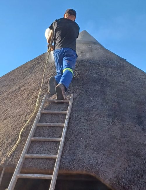 WhatsApp Image 2022-08-03 at 5.35.48 PM (1)