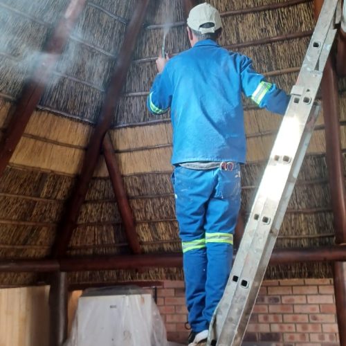 WhatsApp Image 2022-08-03 at 5.35.48 PM