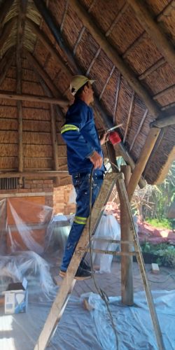 WhatsApp Image 2022-08-03 at 5.36.03 PM